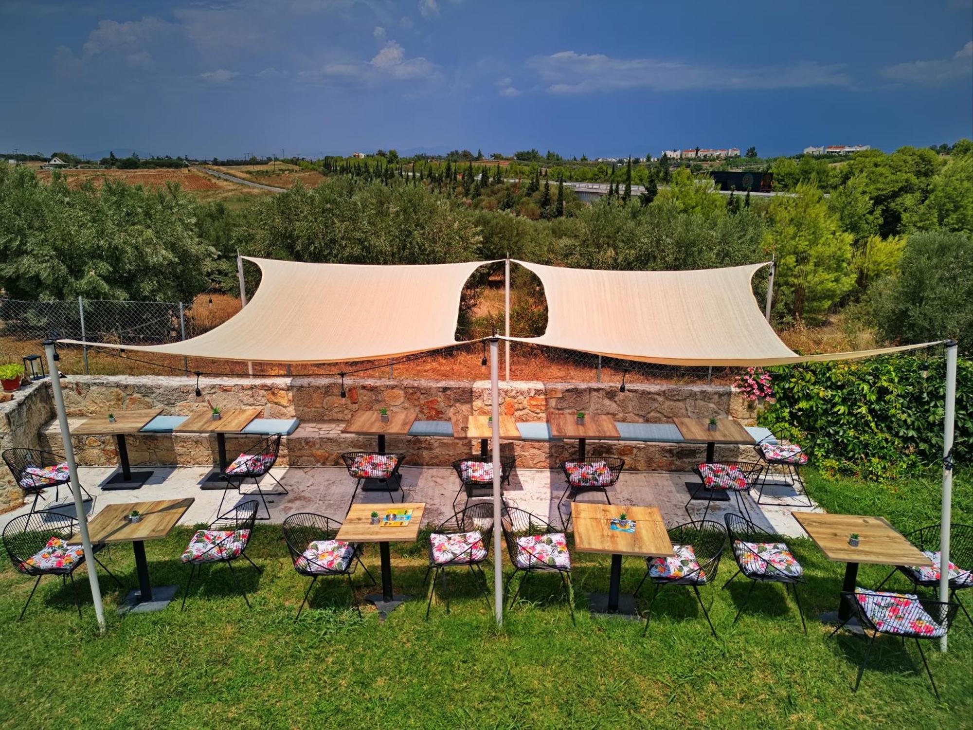 Marele Hills Apartments Néa Fókaia Dış mekan fotoğraf